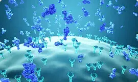 Usuwa toksyny i produkty ich życia