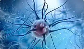 Neutralizuje procesy zapalne