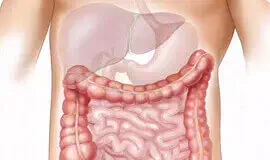 Przywraca pracę wszystkich narządów